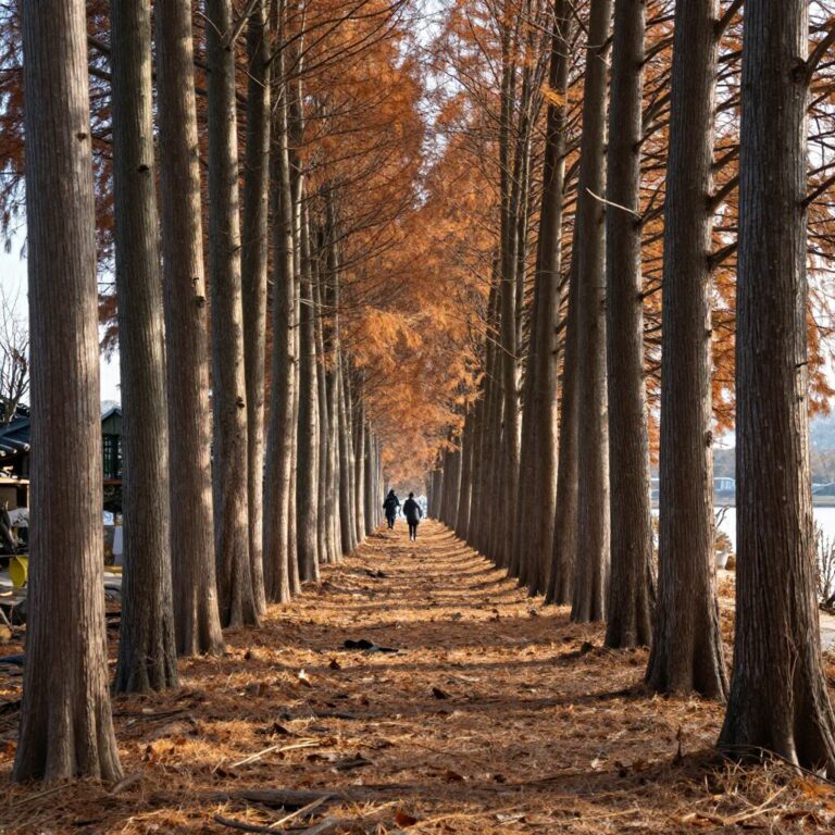겨울 햇살이 비치는 하동포구의 빼곡한 대나무 숲길