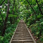 서산 개심사 봄꽃 가이드와 역사 이야기 서산 개심사 가는길 초록 숲길과 계단 풍경