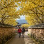 2026 구례 산수유축제 일정과 가볼 만한 곳 완벽 가이드 구례 산수유꽃이 만개한 반곡마을 꽃담길 풍경