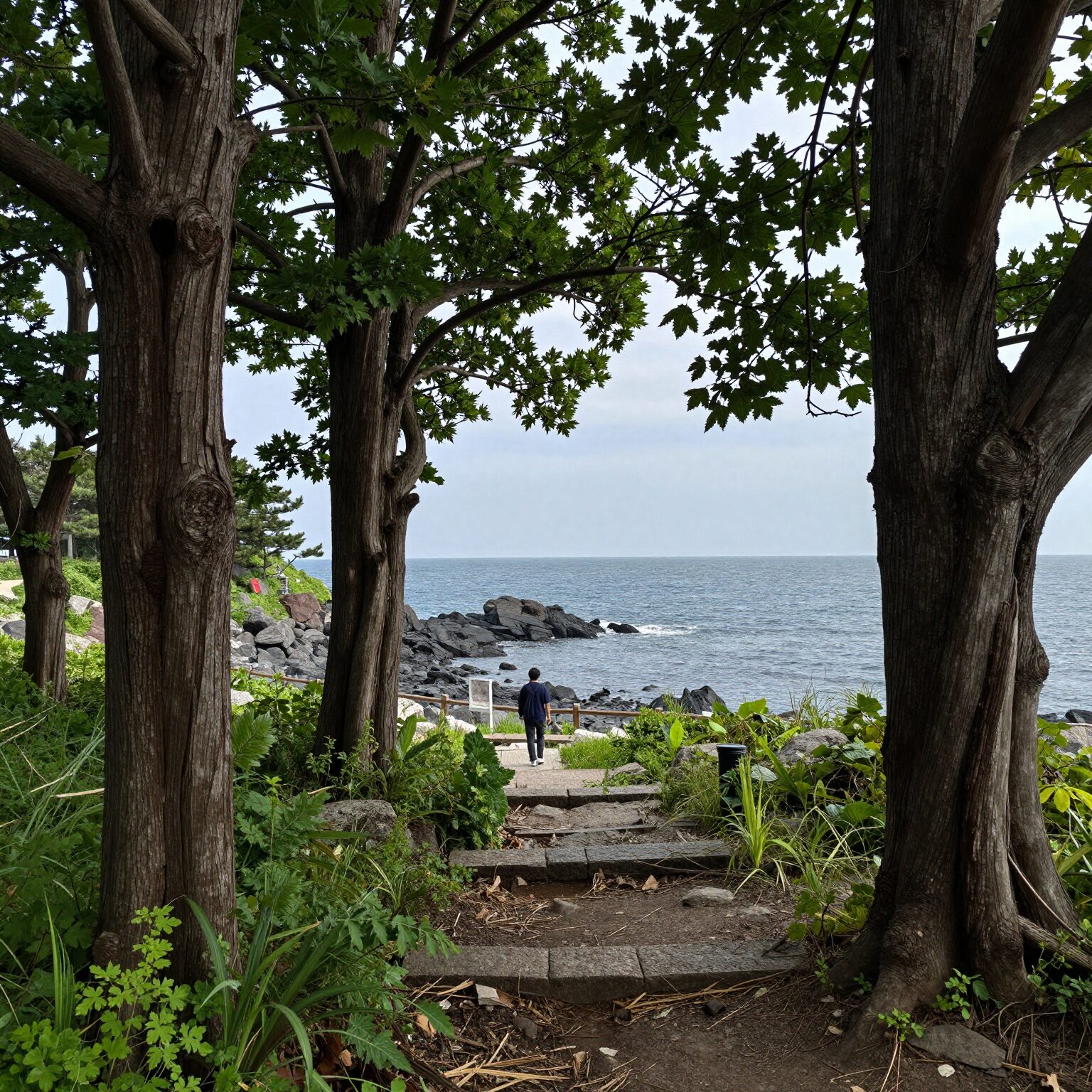서천 마량리 동백나무숲에서 바라본 서해 바다와 오력도 전경