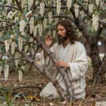 종려나무 가지와 예수님의 예루살렘 입성을 상징하는 이미지