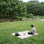 서울대공원 기린사 근처 계곡 피크닉 장소의 잔디밭과 나무가 있는 풍경