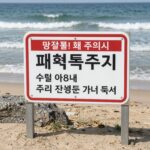 봄철 패류독소 위험과 안전한 조개 섭취 방법 봄철 해변에 설치된 패류독소 주의 안내판과 파도