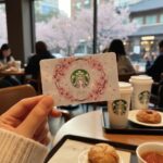 스타벅스 벚꽃카드 꽃 속에 담긴 커피 이야기 2026년 스타벅스 벚꽃카드 디자인