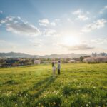 햇살이 따스하게 내리쬐는 봄 들판과 하늘에 떠 있는 태양 일러스트