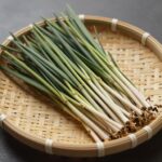 데친 두릅과 고사리가 담긴 나물 접시