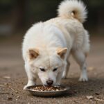 강아지 두릅 급여 가능 여부와 안전한 방법 강아지가 신중하게 먹이를 먹고 있는 모습