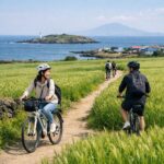 봄철 가파도의 푸르른 청보리밭과 자전거 타는 여행객들