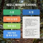 C언어 프로그램의 메모리 레이아웃 다이어그램 스택 힙 데이터 코드 영역 표시