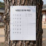 낙랑군 호구부 목간 사진. 나무에 한자로 기록된 호구 조사 문서.
