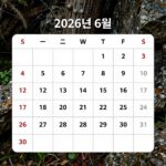 2026년 6월 달력 전체 모습