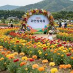 과천장미축제 2026 기간 입장료 가는길 2026 과천장미축제 장미원 전경 만개한 장미와 포토존