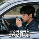 손승원 무면허 음주 역주행 사건 관련 이미지, 만취 운전 경고