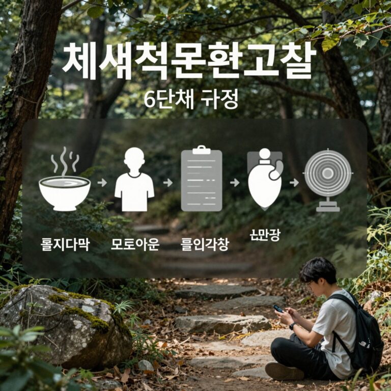 체계적문헌고찰 6단계 과정을 나타내는 인포그래픽