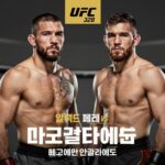 UFC 328 메인 이벤트 알렉스 페레이라 대 마고메드 안칼라예프 포스터