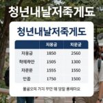 청년내일저축계좌 자격 조건과 지원금 표