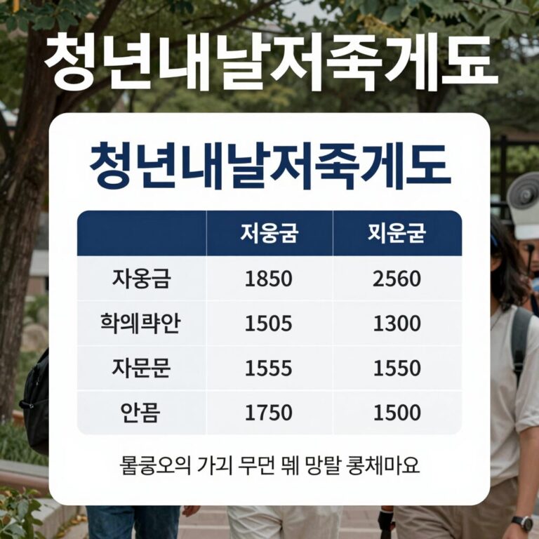 청년내일저축계좌 자격 조건과 지원금 표
