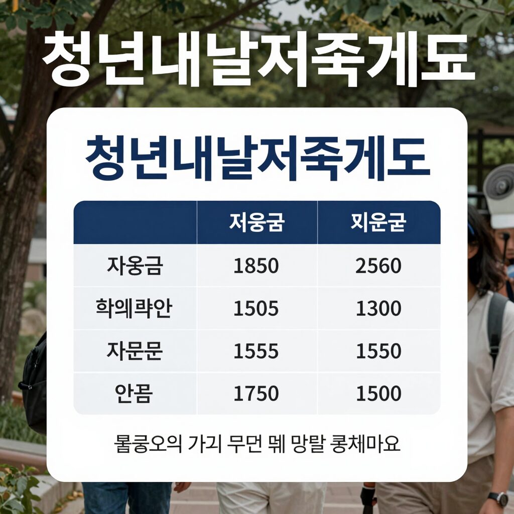청년내일저축계좌 자격 조건과 지원금 표