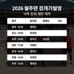 2026 월드컵 개막과 한국 경기 일정 2026 월드컵 한국 경기 일정과 개막 정보