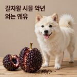 강아지 살구 급여 주의할 점 강아지가 살구 씨앗을 먹으면 안 되는 이유를 설명하는 이미지