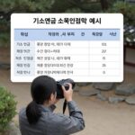 기초연금 소득인정액 계산 예시와 재산 환산 방법을 설명한 표