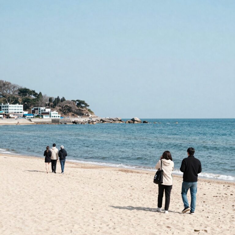 비진도 솔비치펜션에서 바라본 바다와 해변 전경