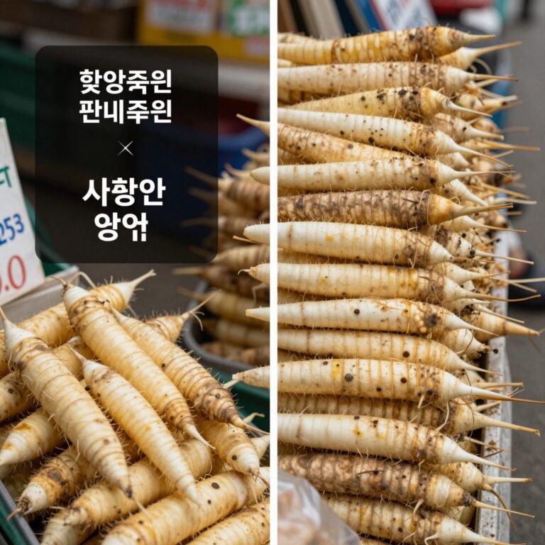 2026년 6월 시장에서 판매 중인 햇양파와 저장 양파의 가격 비교 사진