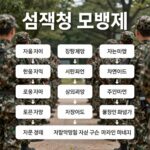선택적 모병제 알아보기 선택적 모병제 개념도 - 지원자가 선발 과정을 거쳐 군 복무를 하는 구조
