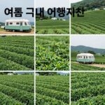여름 국내 여행지 추천 충북 영동 별애드림 카라반과 보성 녹차밭 풍경이 담긴 콜라주 사진