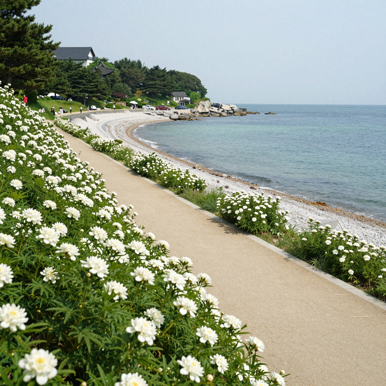 통영 이순신공원 수국과 바다가 어우러진 해안 산책로 풍경
