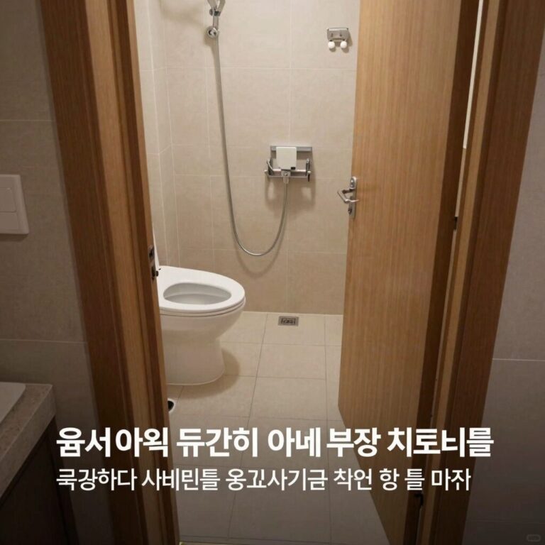 윤서인이 일본 료칸에서 아내 부상 치료비를 요구하다 사기꾼 취급을 받은 사건을 설명하는 블로그 본문에 사용된 사진, 료칸 내부 마루와 화장실 문지방이 보이는 이미지
