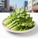 아삭한 여름무생채 맛있게 하는법 아삭하게 썰어진 여름 무생채 완성 접시