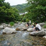 성주 포천계곡 맑은 물과 숲 풍경 여름 피서지