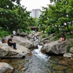 안양 예술공원 계곡 여름 피서 명소 안양 예술공원 계곡의 시원한 물줄기와 주변 숲 풍경