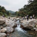 화악산 계곡 여름 캠핑 후기 화악산 계곡 맑은 물과 바위들