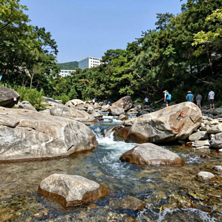 광양 어치계곡 맑은 물과 바위 풍경 여름 피서지