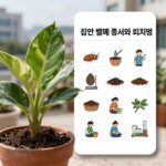 집안 벌레 종류와 퇴치법을 설명하는 표와 함께 은행잎과 화분 관리 이미지