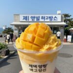 제주 애플망고 빙수 어드래망고하우스 백록설산