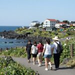 8월 제주도 가볼만한곳 여름 여행지 추천 8월 제주도 가볼만한곳 제주 라프 짚라인 체험