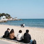 서울 근교 당일치기 바다여행 추천 서울 근교 당일치기 바다여행 강릉 안목해변 커피거리