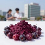 아로니아 효능과 떫은맛 없이 먹는 법 아로니아의 효능을 담은 보랏빛 열매와 분말 모습