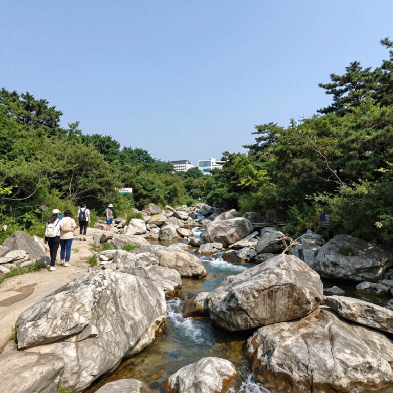 양양 캐디스펜션 계곡 전경
