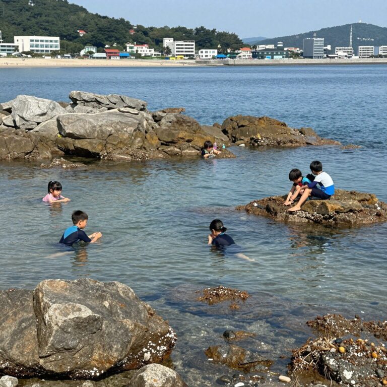 청간해수욕장에서 스노쿨링을 즐기는 아이들의 모습, 맑은 바다와 바위가 어우러진 풍경