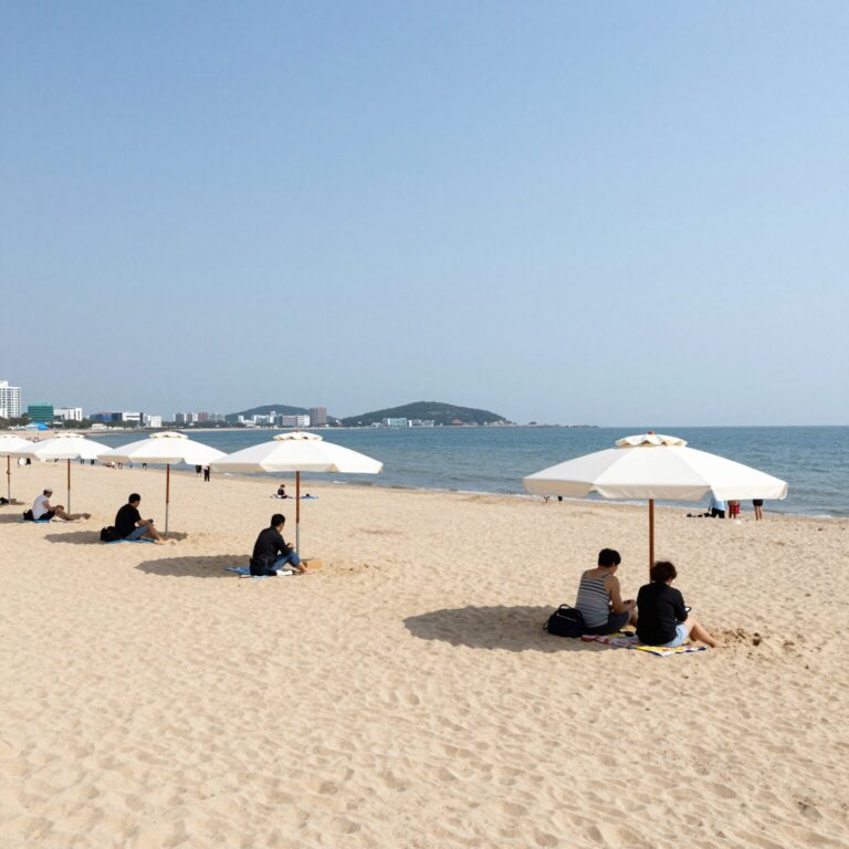 대천해수욕장 모래사장에 설치된 파라솔과 평상 모습