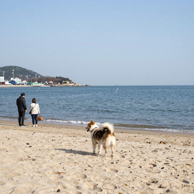 지경리 해수욕장에서 반려견이 바다를 바라보는 모습