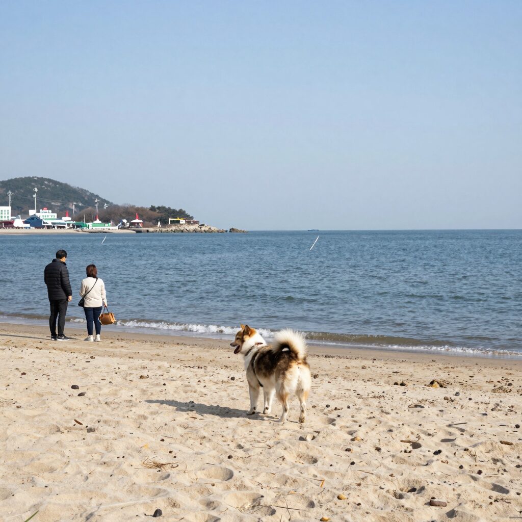 지경리 해수욕장에서 반려견이 바다를 바라보는 모습