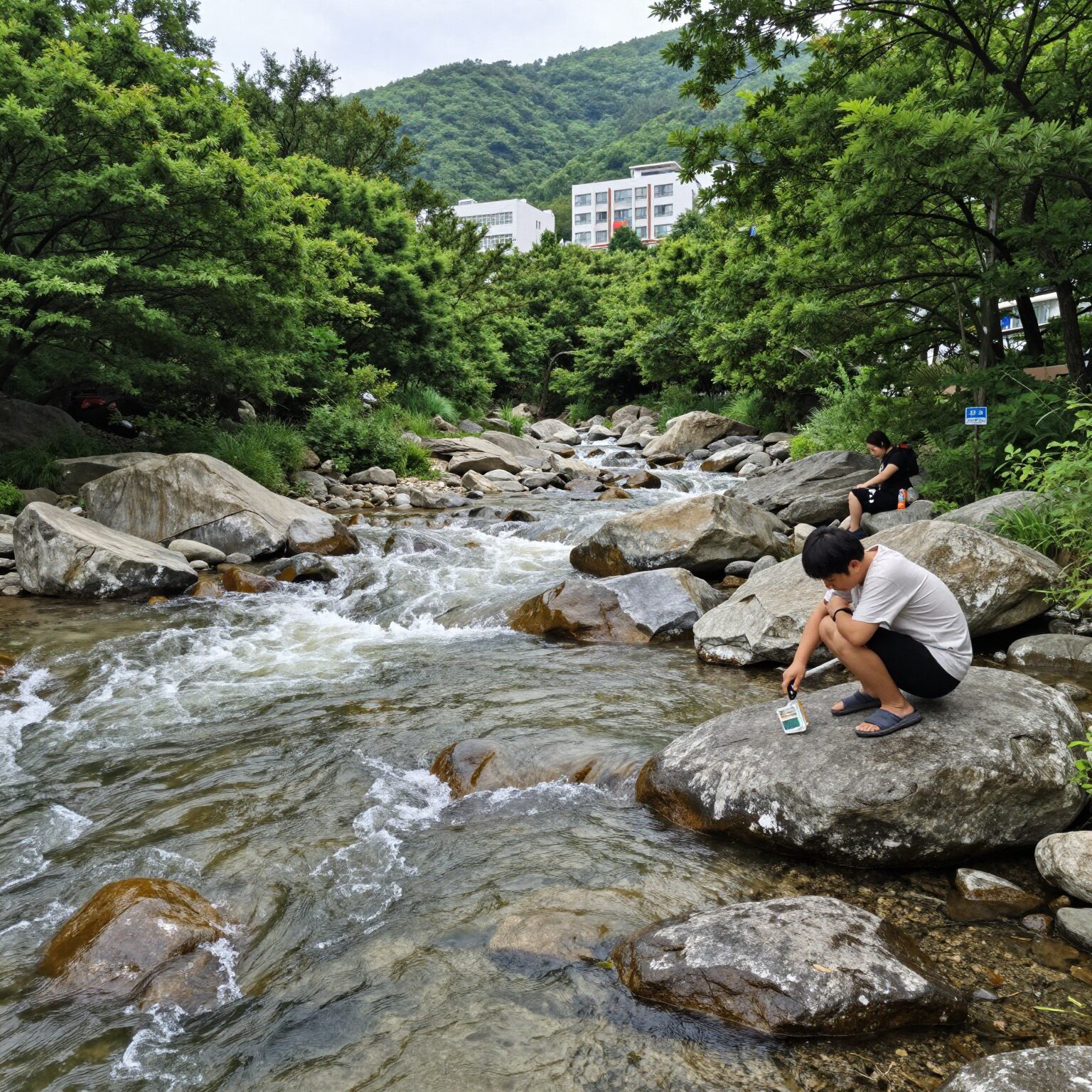 흥정계곡 상류 여름 풍경 맑은 계곡물과 숲