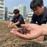 호랑이콩 씨앗을 손에 들고 있는 모습