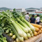 7월 식단표 여름 제철 채소 오이 가지 호박