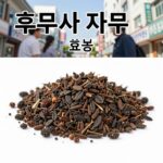 후무사 자두 특성과 효능
